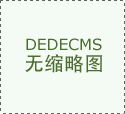 乘“数”而上 向“新”而行 延“链”发力